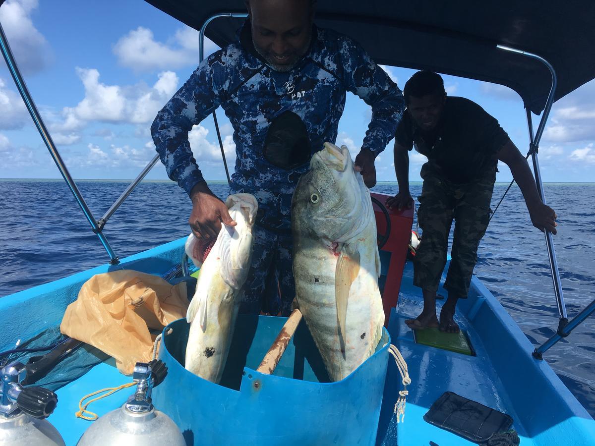 Marinabayvilla-Himandhoo Exteriör bild